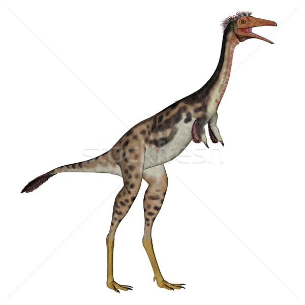 Mononykus dinosaur standing - 3D render Stock photo © Elenarts