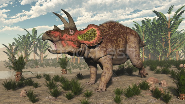 Triceratops dinosaur - 3D render Stock photo © Elenarts