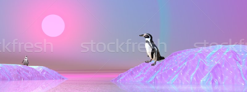 Penguins in Antarctica Stock photo © Elenarts