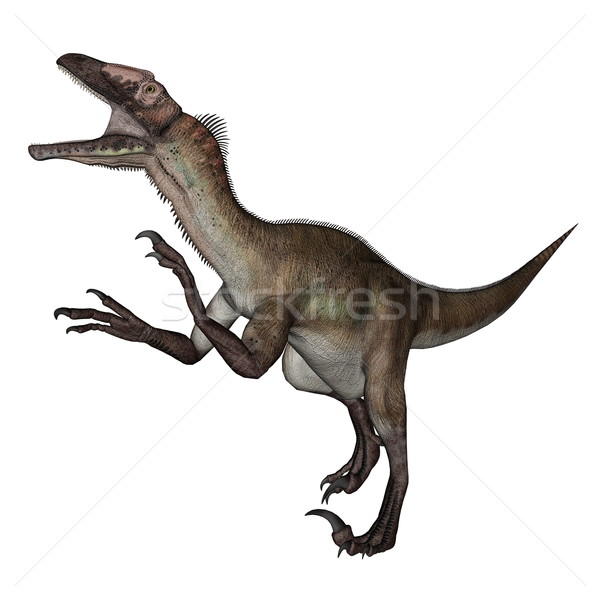 Utahraptor dinosaur roaring - 3D render Stock photo © Elenarts