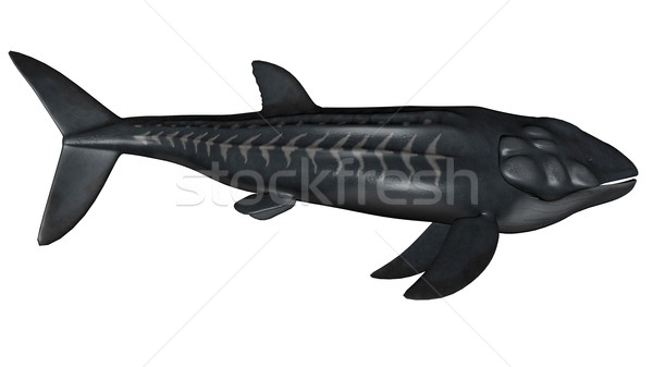 Leedsichthys prehistoric fish - 3D render Stock photo © Elenarts