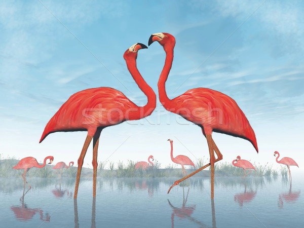 Flamingos courtship - 3D render Stock photo © Elenarts