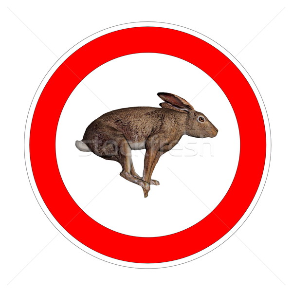 Hare speed limit Stock photo © Elenarts