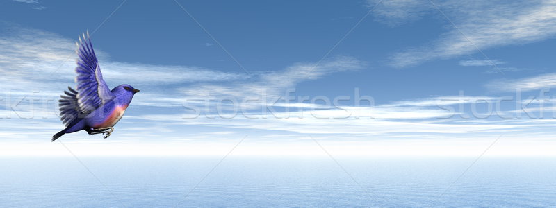 Finch bird upon ocean - 3D render Stock photo © Elenarts