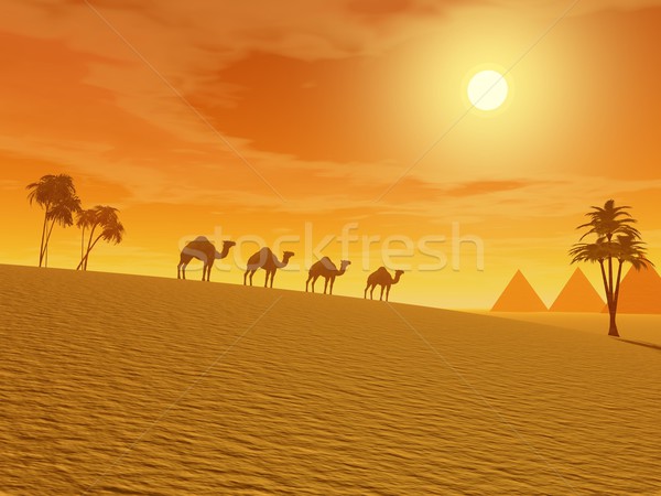 Camels in the desert Stock photo © Elenarts