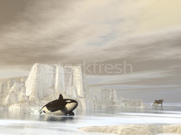 Orcas (killer whales) at the pole - 3D render Stock photo © Elenarts