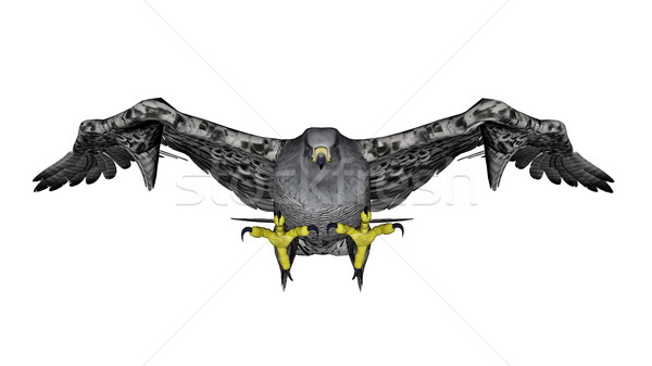 [[stock_photo]]: Gris · falcon · battant · rendu · 3d · isolé · blanche