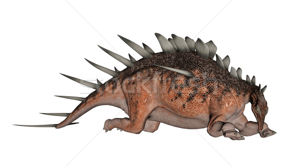 Kentrosaurus dinosaur resting - 3D render Stock photo © Elenarts