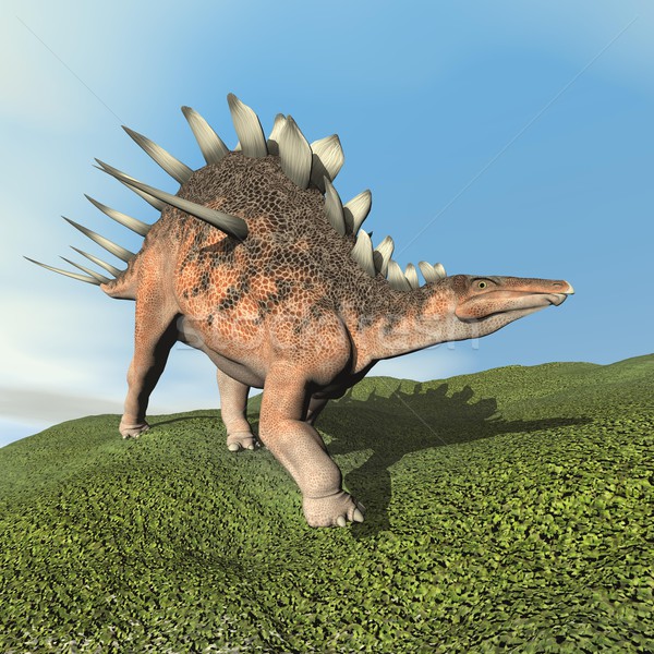 Kentrosaurus dinoasaur roaring - 3D render Stock photo © Elenarts