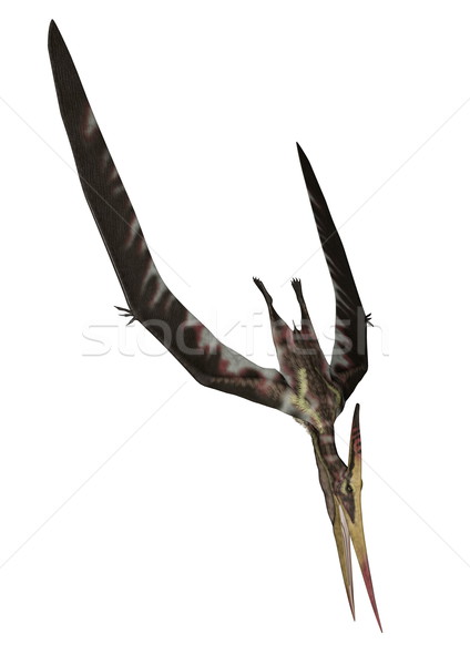 Pteranodon diving - 3D render Stock photo © Elenarts