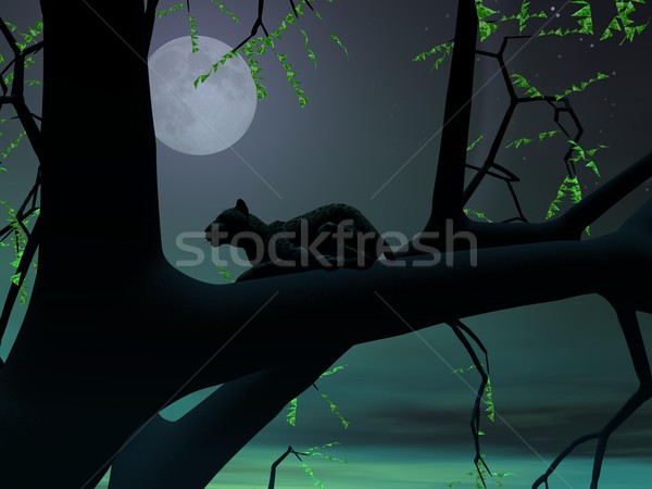 Panthère vert nuit silhouette vue séance Photo stock © Elenarts