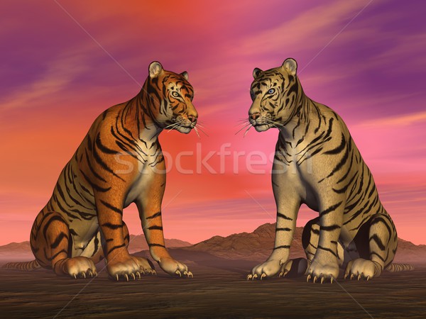Two tigers and colorful sky Stock photo © Elenarts