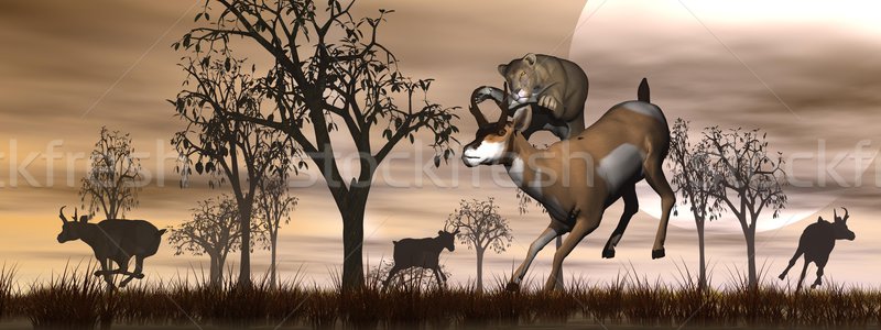 Hunting scene in the nature Stock photo © Elenarts