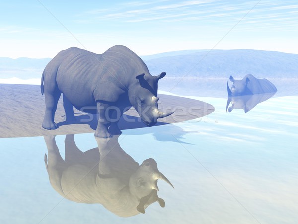 Rinoceronte agua sediento agua potable otro bano Foto stock © Elenarts
