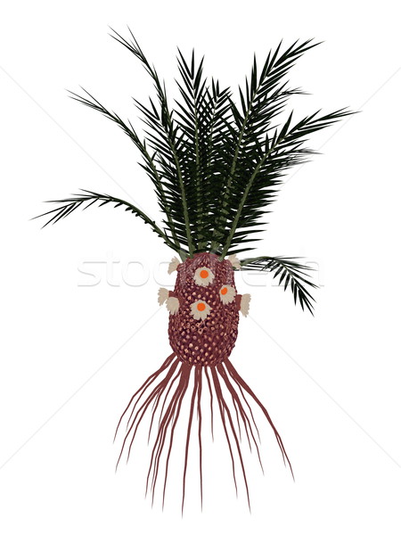 Cycadeoidea gigantea prehistoric plant - 3D render Stock photo © Elenarts