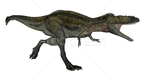 Alioramus dinosaur running - 3D render Stock photo © Elenarts