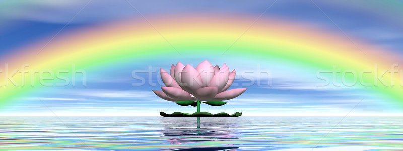 Lotus flower under rainbow - 3D render Stock photo © Elenarts