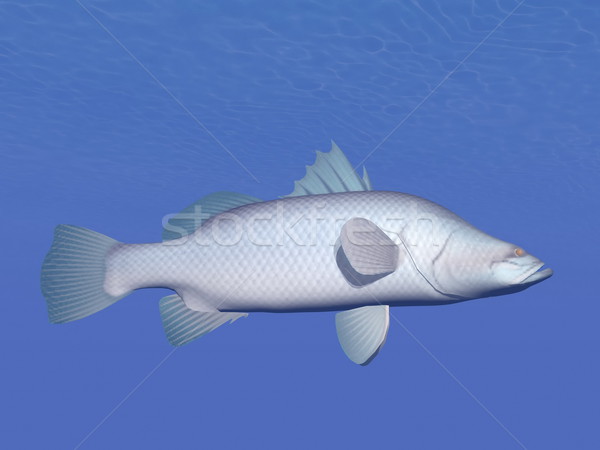 Barramundi fish underwater - 3D render Stock photo © Elenarts