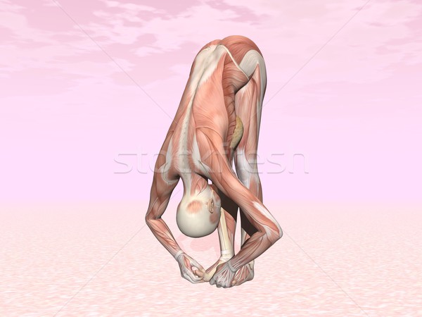 Big toes yoga pose for woman with muscle visible Stock photo © Elenarts