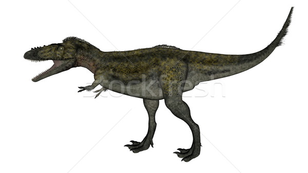 Alioramus dinosaur walking - 3D render Stock photo © Elenarts