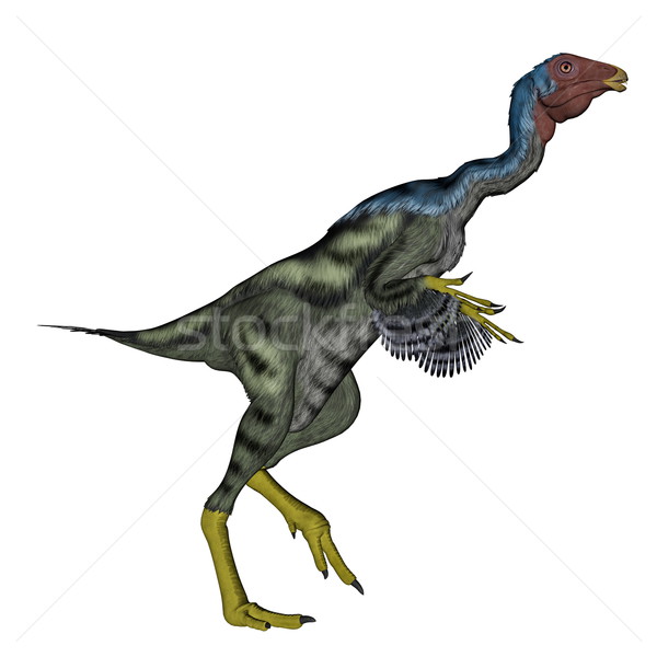 Caudipteryx dinosauwalking - 3D render Stock photo © Elenarts