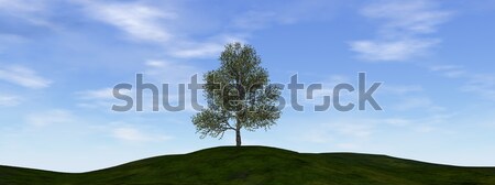 商业照片: 树· 三维渲染 · 美丽 ·天· 天空 · 性质