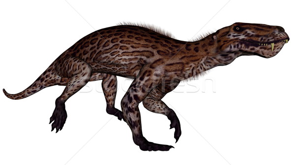 динозавр 3d визуализации ходьбе изолированный белый ходьбы Сток-фото © Elenarts