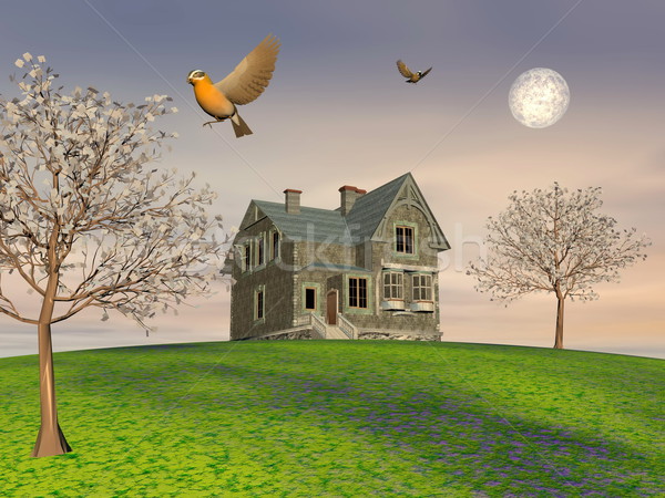 Cute cottage - 3D render Stock photo © Elenarts