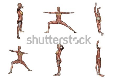 戰士 瑜伽姿勢 女子 肌肉 可見 六 商業照片 © Elenarts