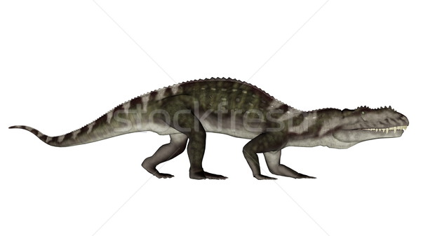 динозавр ходьбе 3d визуализации белый графических Сток-фото © Elenarts