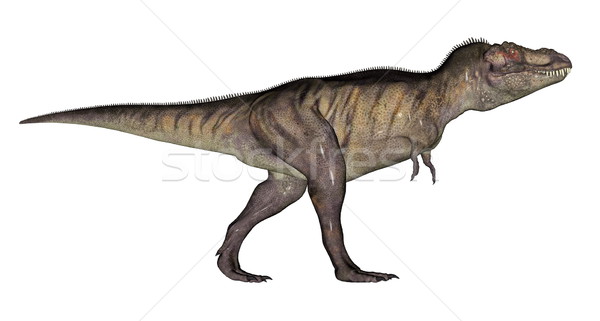 Tyrannosaurus dinosaur Stock photo © Elenarts