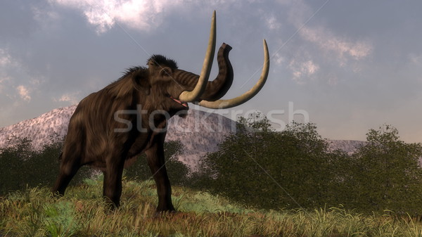 Mammoth - 3D render Stock photo © Elenarts