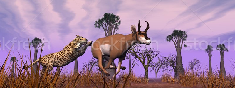 Hunting scene in the nature Stock photo © Elenarts