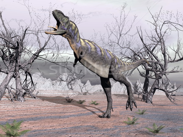 Aucasaurus dinosaur - 3D render Stock photo © Elenarts