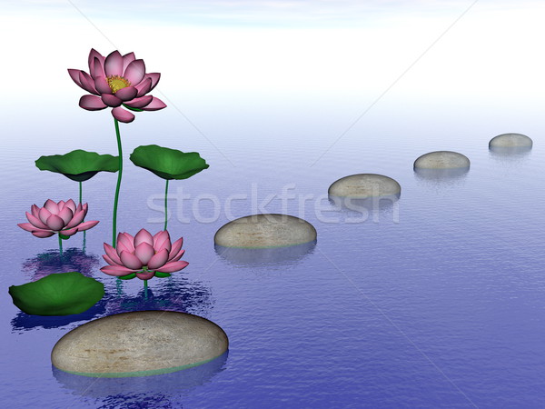 Zen lily flowers - 3D render Stock photo © Elenarts