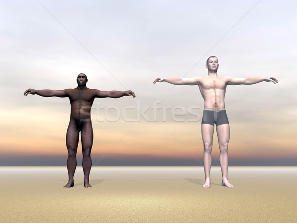 Modern human and homo erectus - 3D render Stock photo © Elenarts