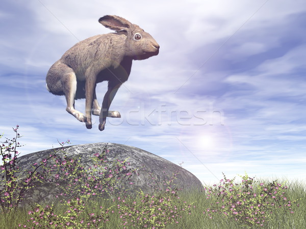 Jumping hare - 3D render Stock photo © Elenarts