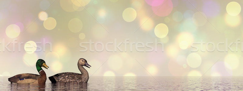 Mallard ducks - 3D render Stock photo © Elenarts