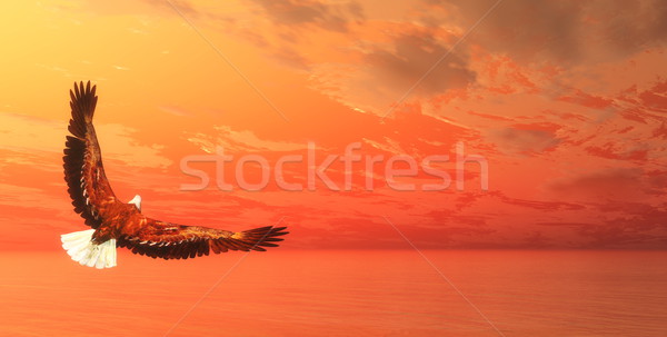Stockfoto: Adelaar · vliegen · 3d · render · oceaan · zonsondergang · hemel
