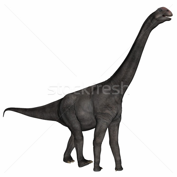 Brontomerus dinosaur - 3D render Stock photo © Elenarts