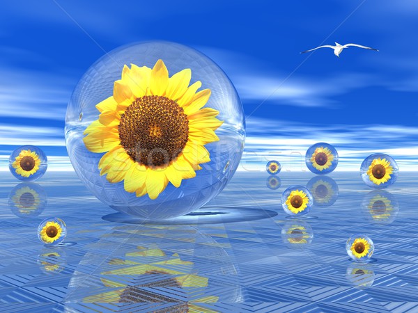 Sunflowers in bubbles Stock photo © Elenarts