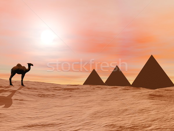 верблюда таинственный пирамидами 3d визуализации один Постоянный Сток-фото © Elenarts