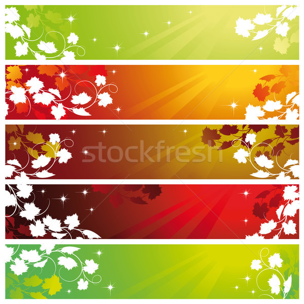 Foto stock: Banners · videira · conjunto · cinco · primavera · natureza