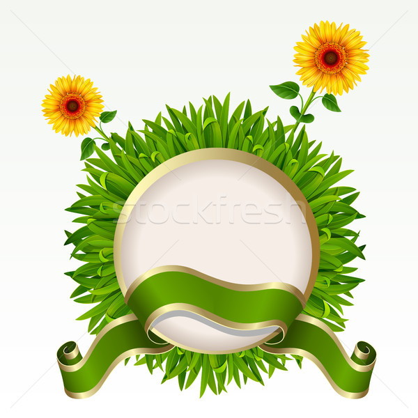 [[stock_photo]]: Cadre · herbe · herbe · verte · tournesols · blanche