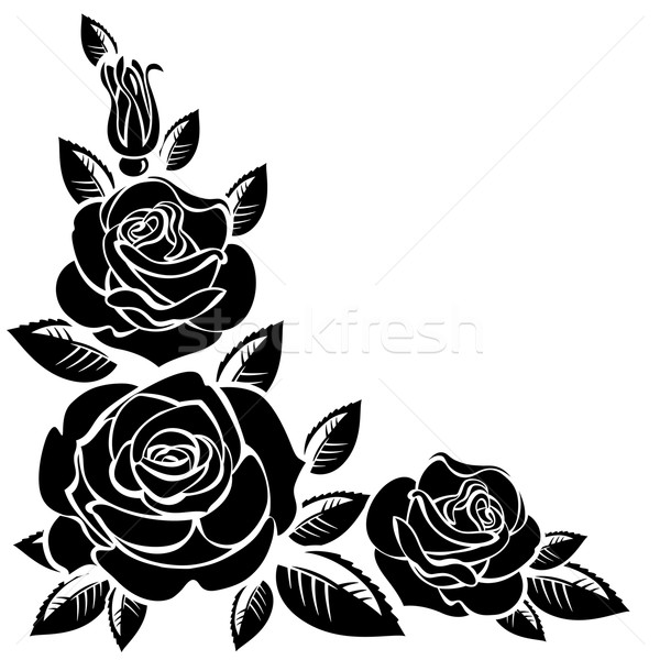 Featured image of post Rosas Vetor Preto E Branco - Baixe grátis na melhor plataforma de lançamento de artistas independentes do brasil.