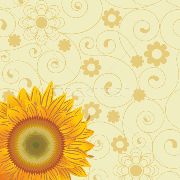 Background  with  sunflower Stock photo © ElenaShow