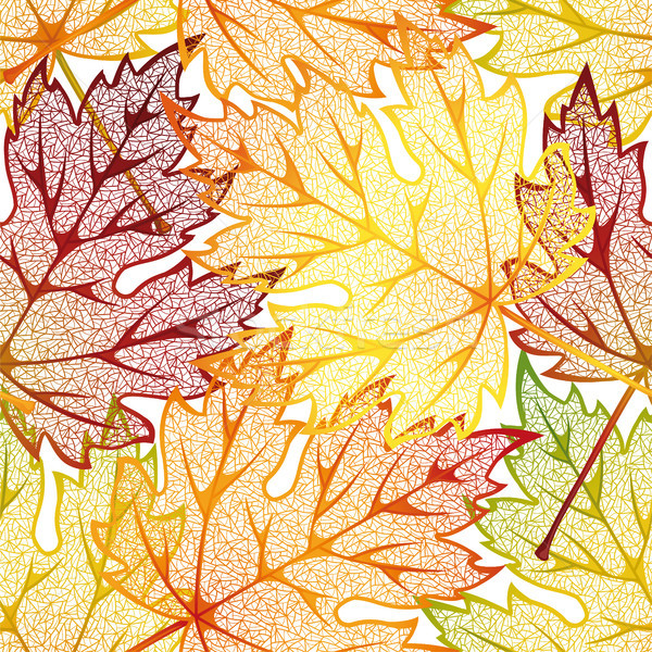 Autumn leaves Stock photo © ElenaShow