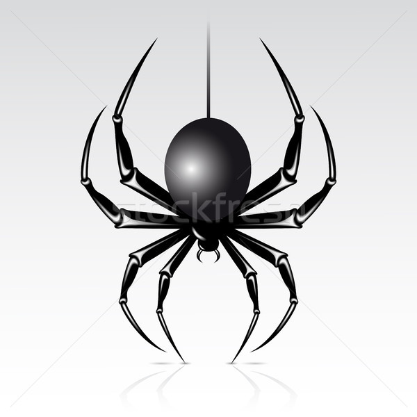 Păianjen negru alb izolat întuneric negru şi alb Imagine de stoc © ElenaShow