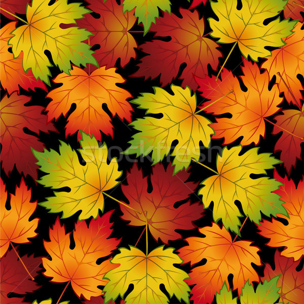 Autumn leaves Stock photo © ElenaShow
