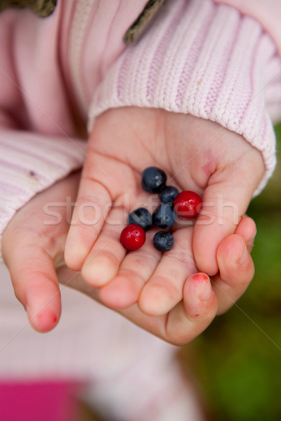 Child holding berries Stock photo © ElinaManninen